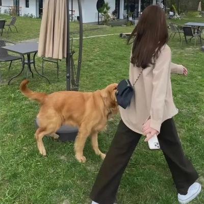 桃花运